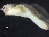  ( - HMSC174-00168)  @11 [ ] by-nc-sa  Unspecified Huntsman Marine Science Centre