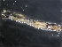  ( - HMSC174-00235)  @11 [ ] by-nc-sa  Unspecified Huntsman Marine Science Centre