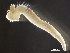  ( - HMSC174-00580)  @11 [ ] by-nc-sa  Unspecified Huntsman Marine Science Centre