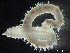  ( - HMSC174-00734)  @11 [ ] by-nc-sa  Unspecified Huntsman Marine Science Centre