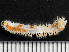  ( - HMSC174-00777)  @11 [ ] by-nc-sa  Unspecified Huntsman Marine Science Centre