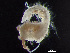  ( - HMSC174-00850)  @11 [ ] by-nc-sa  Unspecified Huntsman Marine Science Centre