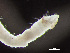  ( - HMSC174-00856)  @11 [ ] by-nc-sa  Unspecified Huntsman Marine Science Centre
