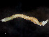  ( - HMSC174-00894)  @11 [ ] by-nc-sa  Unspecified Huntsman Marine Science Centre