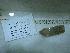  ( - DY081_0857)  @11 [ ] CreativeCommons - Attribution Share-Alike (2025) Unspecified Huntsman Marine Science Centre