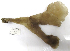  ( - ARC81481)  @11 [ ] Unspecified (default): All Rights Reserved  Fisheries and Oceans Canada Unspecified