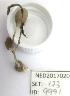  (Stylocordylidae - ARC81489)  @11 [ ] Unspecified (default): All Rights Reserved  Fisheries and Oceans Canada Unspecified