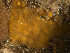  ( - ARC82279)  @11 [ ] Unspecified (default): All Rights Reserved  Huntsman Marine Science Centre Unspecified