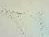  ( - ARC82053)  @11 [ ] Unspecified (default): All Rights Reserved  Huntsman Marine Science Centre Unspecified
