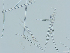  ( - ARC82065)  @11 [ ] Unspecified (default): All Rights Reserved  Huntsman Marine Science Centre Unspecified