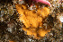 ( - ARC82067)  @11 [ ] Unspecified (default): All Rights Reserved  Huntsman Marine Science Centre Unspecified