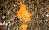  ( - ARC82088)  @11 [ ] Unspecified (default): All Rights Reserved  Huntsman Marine Science Centre Unspecified