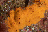  ( - ARC82097)  @11 [ ] Unspecified (default): All Rights Reserved  Huntsman Marine Science Centre Unspecified