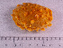  ( - HMSC174_02760)  @11 [ ] CreativeCommons - Attribution Share-Alike (2024) Unspecified Huntsman Marine Science Centre