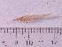  ( - HMSC174_02794)  @11 [ ] CreativeCommons - Attribution Share-Alike (2024) Unspecified Huntsman Marine Science Centre