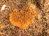  ( - ARC81667)  @11 [ ] Unspecified (default): All Rights Reserved  Huntsman Marine Science Centre Unspecified