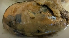  ( - ARC81677)  @11 [ ] Unspecified (default): All Rights Reserved  Huntsman Marine Science Centre Unspecified