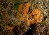 ( - ARC81678)  @11 [ ] Unspecified (default): All Rights Reserved  Huntsman Marine Science Centre Unspecified
