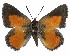  ( - ATLEP-AP608)  @11 [ ] by-nc-sa (2020) Jeremy Dobson Unspecified