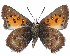  ( - ATLEP-AP608)  @11 [ ] by-nc-sa (2020) Jeremy Dobson Unspecified