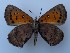  ( - JD-11991SA)  @11 [ ] CreativeCommons - Attribution Non-Commercial Share-Alike (2019) Jeremy Dobson Unspecified