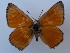  ( - JD-12144SA)  @11 [ ] CreativeCommons - Attribution Non-Commercial Share-Alike (2019) Jeremy Dobson Unspecified