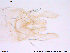  ( - ATNA20)  @12 [ ] CreativeCommons - Attribution Non-Commercial Share-Alike (2013) NTNU Museum of Natural History and Archaeology NTNU Museum of Natural History and Archaeology