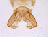  ( - ATNA204)  @12 [ ] CreativeCommons - Attribution Non-Commercial Share-Alike (2013) NTNU Museum of Natural History and Archaeology NTNU Museum of Natural History and Archaeology