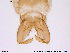  ( - ATNA205)  @12 [ ] CreativeCommons - Attribution Non-Commercial Share-Alike (2013) NTNU Museum of Natural History and Archaeology NTNU Museum of Natural History and Archaeology