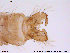  ( - ATNA238)  @12 [ ] CreativeCommons - Attribution Non-Commercial Share-Alike (2013) NTNU Museum of Natural History and Archaeology NTNU Museum of Natural History and Archaeology