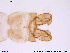  ( - ATNA269)  @13 [ ] CreativeCommons - Attribution Non-Commercial Share-Alike (2013) NTNU Museum of Natural History and Archaeology NTNU Museum of Natural History and Archaeology