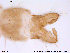  ( - ATNA278)  @12 [ ] CreativeCommons - Attribution Non-Commercial Share-Alike (2013) NTNU Museum of Natural History and Archaeology NTNU Museum of Natural History and Archaeology