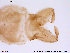  ( - ATNA305)  @12 [ ] CreativeCommons - Attribution Non-Commercial Share-Alike (2013) NTNU Museum of Natural History and Archaeology NTNU Museum of Natural History and Archaeology