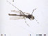  ( - ATNA324)  @12 [ ] CreativeCommons - Attribution Non-Commercial Share-Alike (2013) NTNU Museum of Natural History and Archaeology NTNU Museum of Natural History and Archaeology