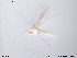  ( - ATNA331)  @12 [ ] CreativeCommons - Attribution Non-Commercial Share-Alike (2013) NTNU Museum of Natural History and Archaeology NTNU Museum of Natural History and Archaeology