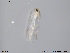  ( - ATNA338)  @12 [ ] CreativeCommons - Attribution Non-Commercial Share-Alike (2013) NTNU Museum of Natural History and Archaeology NTNU Museum of Natural History and Archaeology