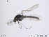  ( - ATNA347)  @12 [ ] CreativeCommons - Attribution Non-Commercial Share-Alike (2013) NTNU Museum of Natural History and Archaeology NTNU Museum of Natural History and Archaeology