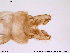  ( - ATNA348)  @12 [ ] CreativeCommons - Attribution Non-Commercial Share-Alike (2013) NTNU Museum of Natural History and Archaeology NTNU Museum of Natural History and Archaeology