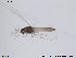  ( - ATNA367)  @12 [ ] CreativeCommons - Attribution Non-Commercial Share-Alike (2013) NTNU Museum of Natural History and Archaeology NTNU Museum of Natural History and Archaeology