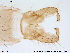  ( - ATNA377)  @12 [ ] CreativeCommons - Attribution Non-Commercial Share-Alike (2013) NTNU Museum of Natural History and Archaeology NTNU Museum of Natural History and Archaeology