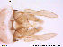  ( - ATNA39)  @13 [ ] CreativeCommons - Attribution Non-Commercial Share-Alike (2013) NTNU Museum of Natural History and Archaeology NTNU Museum of Natural History and Archaeology