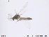  ( - ATNA407)  @12 [ ] CreativeCommons - Attribution Non-Commercial Share-Alike (2013) NTNU Museum of Natural History and Archaeology NTNU Museum of Natural History and Archaeology