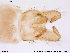  ( - ATNA440)  @12 [ ] CreativeCommons - Attribution Non-Commercial Share-Alike (2013) NTNU Museum of Natural History and Archaeology NTNU Museum of Natural History and Archaeology