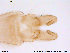  ( - ATNA444)  @12 [ ] CreativeCommons - Attribution Non-Commercial Share-Alike (2013) NTNU Museum of Natural History and Archaeology NTNU Museum of Natural History and Archaeology