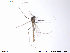  ( - ATNA45)  @12 [ ] CreativeCommons - Attribution Non-Commercial Share-Alike (2013) NTNU Museum of Natural History and Archaeology NTNU Museum of Natural History and Archaeology