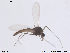  ( - ATNA477)  @12 [ ] CreativeCommons - Attribution Non-Commercial Share-Alike (2013) NTNU Museum of Natural History and Archaeology NTNU Museum of Natural History and Archaeology