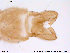  ( - ATNA478)  @13 [ ] CreativeCommons - Attribution Non-Commercial Share-Alike (2013) NTNU Museum of Natural History and Archaeology NTNU Museum of Natural History and Archaeology