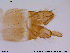  ( - ATNA491)  @13 [ ] CreativeCommons - Attribution Non-Commercial Share-Alike (2013) NTNU Museum of Natural History and Archaeology NTNU Museum of Natural History and Archaeology