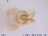  ( - ATNA497)  @12 [ ] CreativeCommons - Attribution Non-Commercial Share-Alike (2013) NTNU Museum of Natural History and Archaeology NTNU Museum of Natural History and Archaeology