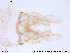  ( - ATNA53)  @12 [ ] CreativeCommons - Attribution Non-Commercial Share-Alike (2013) NTNU Museum of Natural History and Archaeology NTNU Museum of Natural History and Archaeology